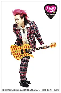 pic_hide01