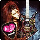 pic_hide11