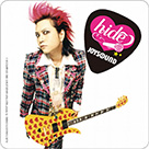 pic_hide14