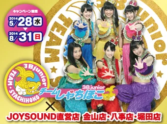 rel_teamsyachihoko01