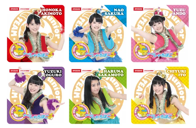 rel_teamsyachihoko04